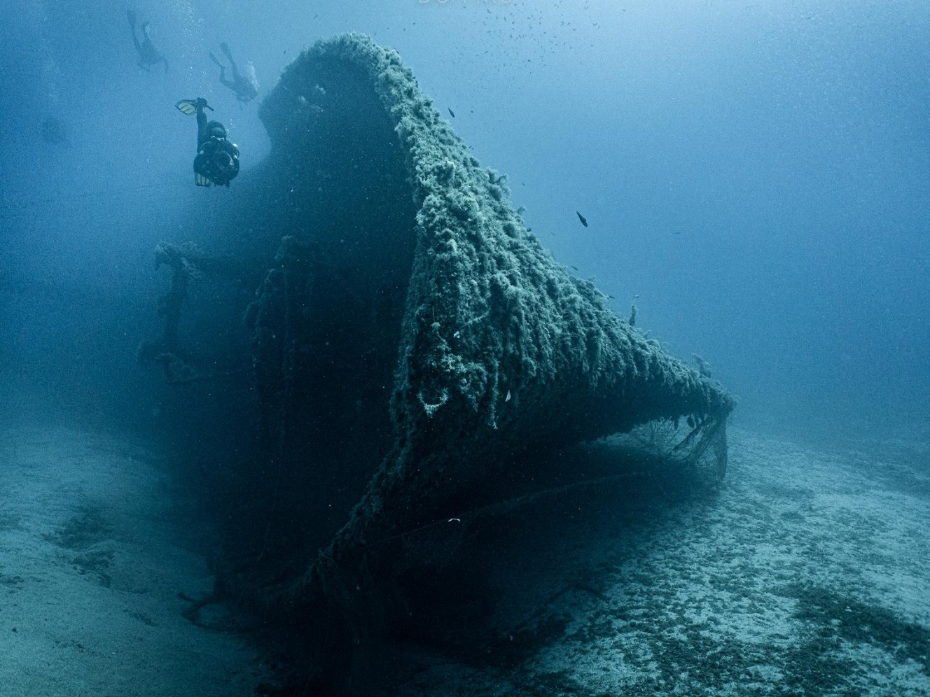 GoDive Mykonos Diving Center – Photo 1