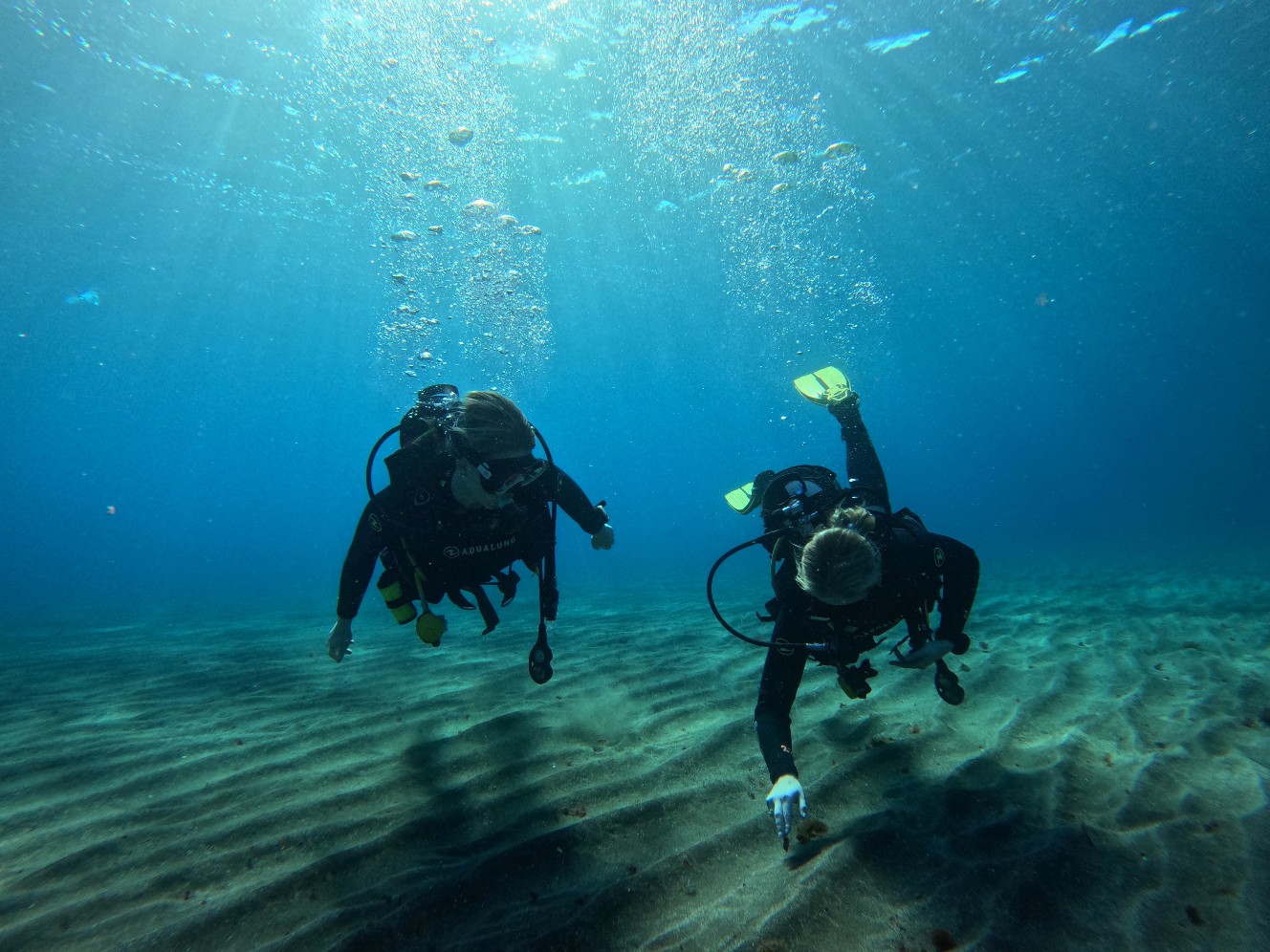 One Two Dive Tenerife – Photo 2