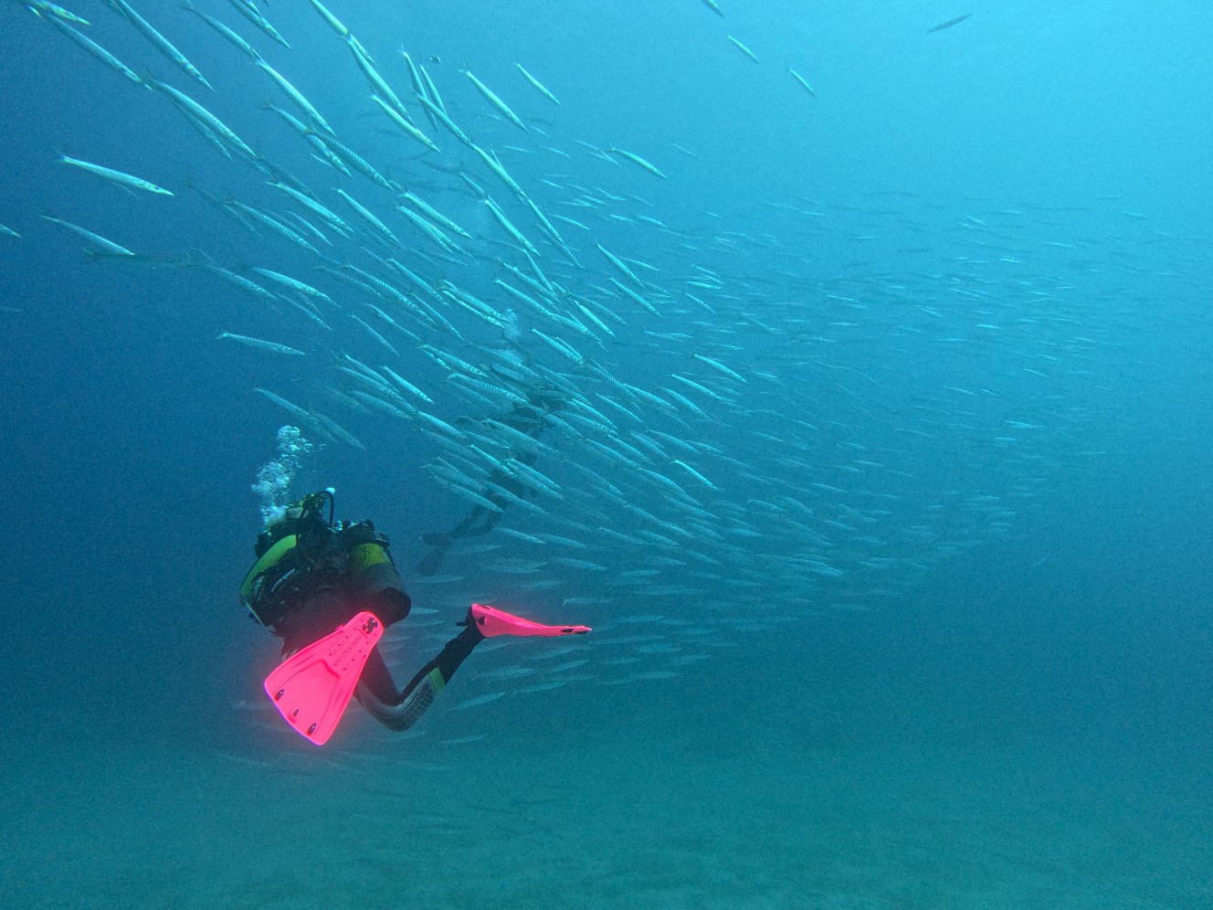 One Two Dive Tenerife – Photo 3