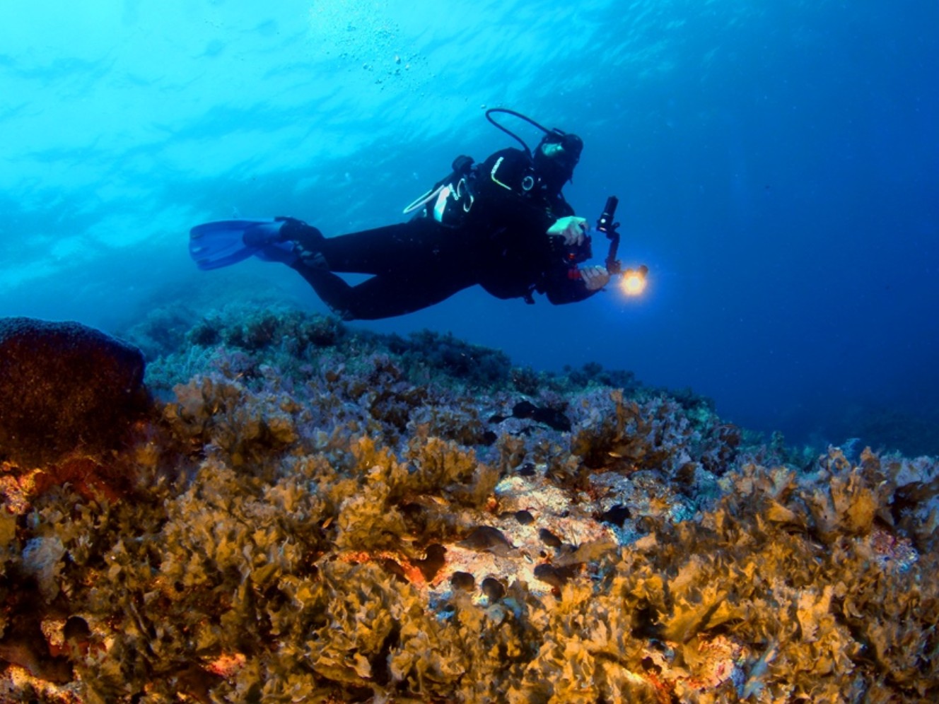 Sea World Scuba Diving Center Kos – Photo 5